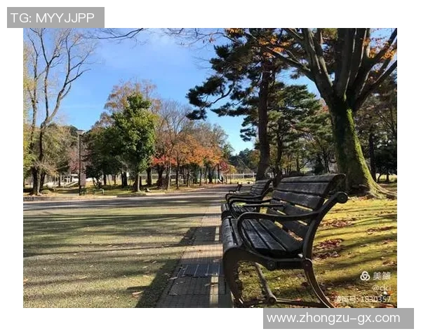 京都与金泽的精彩对决比分揭晓你知道是多少吗